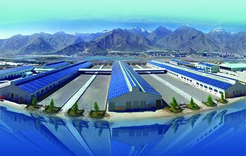 Engineering & Services