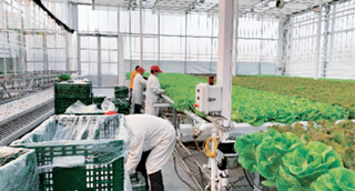 北京都市型现代农业生态服务价值稳增