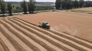 顺义区小麦秸秆绿色利用率100%