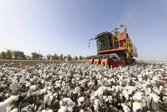 棉花生产全程机械化亟待提档升级